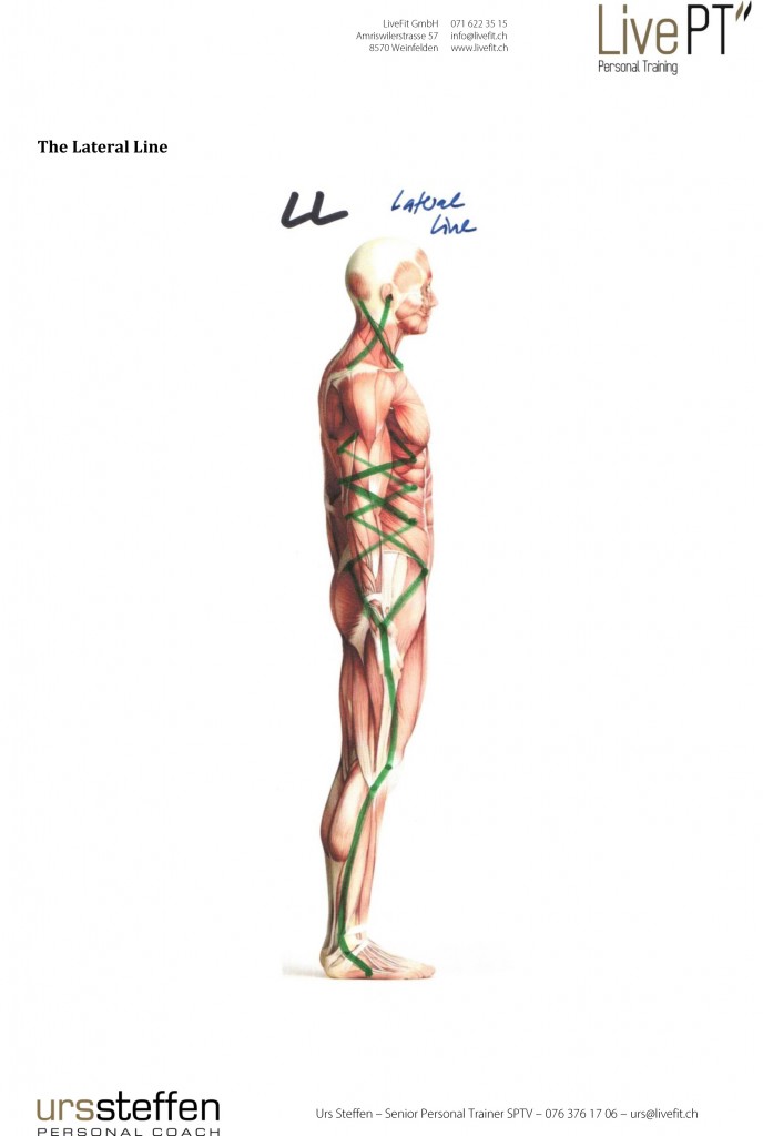 Lateral Line